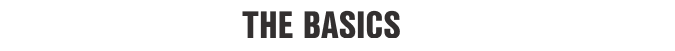 Professional bio generator